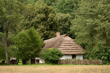 polska wieś, stara drewniana chata wśród drzew
