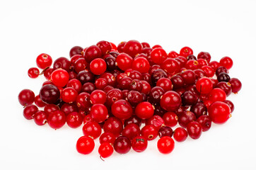 Bunch of ripe red wild cranberries. Studio Photo