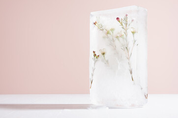 Abstract spring floral background with white frozen flowers on green cherry sprig with shiny bubbles in frost ice block as statue in sunlight on white wood table and pastel pink wall, copy space.