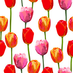 Tulip flowers vector seamless pattern. Design for any surface backgrounds