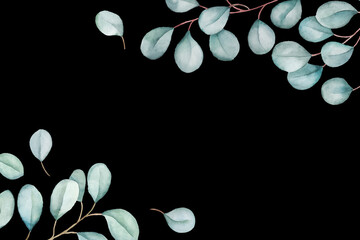 Floral eucalyptus branches frame. Silvery green leaves clipart isolated on black. Watercolor illustration for your design © colnihko