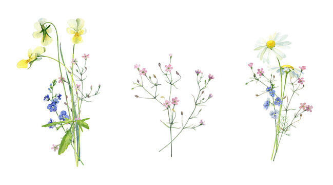 Watercolor bouquets of chamomile, violet, wild pink and blue flowers