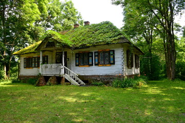 A close up on an old abandoned house with its roof almost entirely covered with vines and with other flora and with some decorations around the windows seen in the middle of a dense forest or moor 