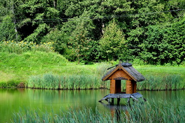 Obraz premium A view of a small wooden decorative shack or shelter for birds located in the middle of a small pond or lake covered with reeds and grass spotted next to a vast forest or moor on a sunny day in Poland