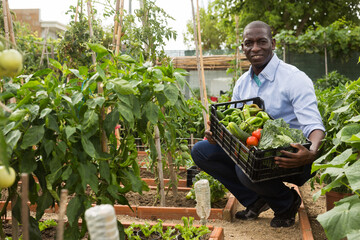 Young man gardener holding harvest of fresh vegetables in garden