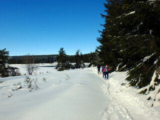 Fototapeta premium du col des Pradeaux à Prabouré