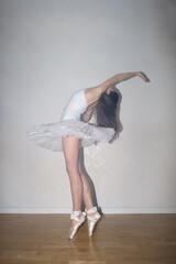 Ballerina posing on white background