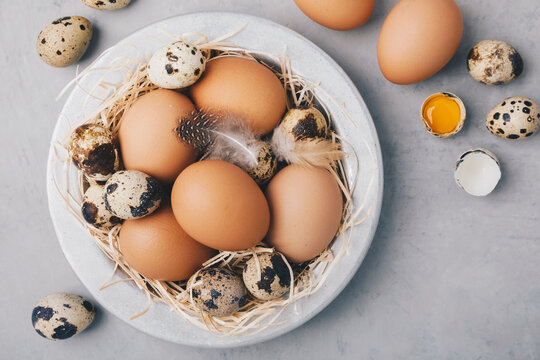 Eggs. Raw organic farm chicken and quail eggs in bowl on gray stone background