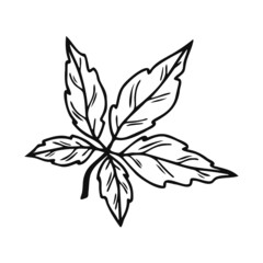 Hand drawn tree leaf, twig, floral element on a white isolated background. Doodle, simple outline illustration. It can be used for decoration of textile, paper and other surfaces.