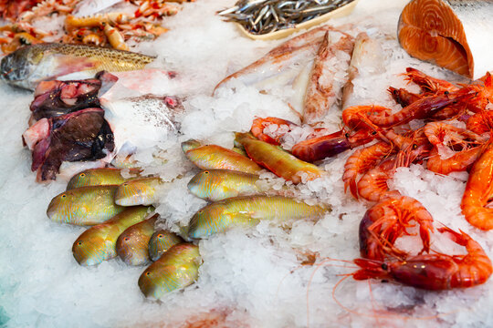Pearly razorfish (Xyrichtys novacula) in large assortment of fresh seafoods on icy showcase