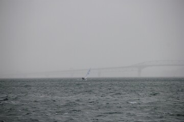 A sailing yacht leaning leeward on a rough windy day in Waitemata harbor, Auckland Harbour Bridge in the background, obscured by heavy rain