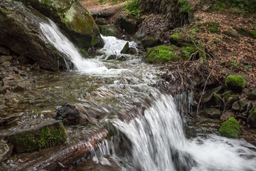 stream in the forest