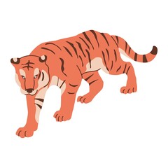 Chinese bengal tiger for new year decoration. Big cat. Asian talisman, astrology, religion. Flat style in vector illustration. Isolated elements on white background.