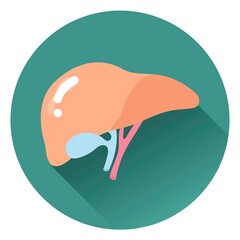 Isolated Icons with internal organs in vector illustration. Lungs, heart, liver, stomach, guts, kidney. Colorful and black and white. Medicine, clinic, hospital, social media, online, health.