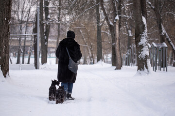 Fototapeta na wymiar a girl in a fur coat and jeans walks with her two dogs in a winter park