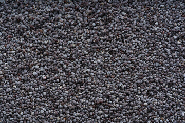 Detailed and large close up shot of poppy seed.