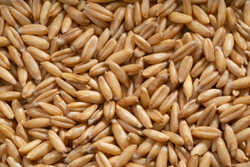 Detailed and large close up shot of naked oats