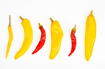 Plate with pickled hot paprika. Studio Photo