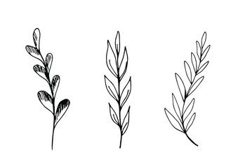 Spring vector leaves set. Isolated elements in graphic. Botanic line illustration. Modern, trend design