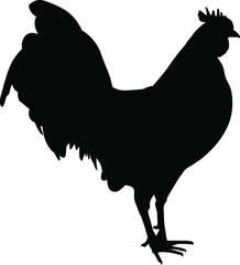 Rooster silhouette. Domestic cattle. Chicken vector illustration isolated on white.
