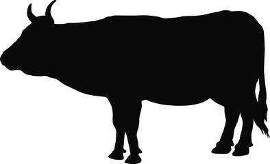 Cow silhouette. Domestic cattle. Vector illustration isolated on white.