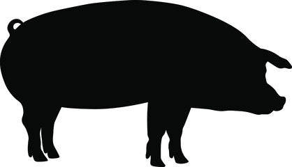 Pig silhouette. Domestic cattle. Vector illustration isolated on white.