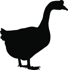 Goose silhouette. Domestic cattle. Vector illustration isolated on white.