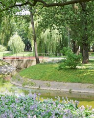 Niewielki mostek w letnim parku - obrazy, fototapety, plakaty