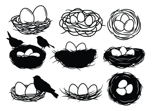 Set of bird's nest. Collection of nests with eggs and birds. Wildlife. Vector illusstration of birds house on whitee background. 