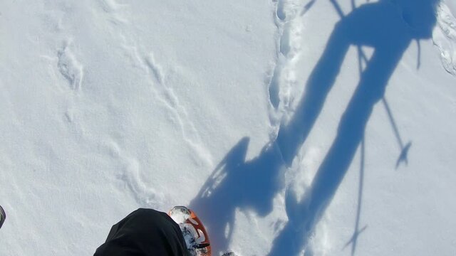 man lower body snowshoeing fresh snow with shadow holding hiking sticks in D&eacute;voluy valley. First person view. Black pants and orange snowshoes