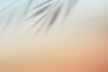 Natural palm leaves shadow on gradient paper background. Abstract pink tropical backdrop. Soft light