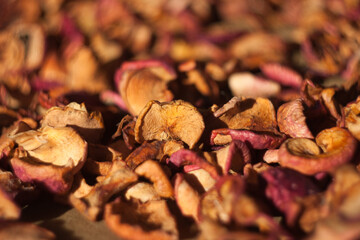 Blurred red brown background dried fruits apples
