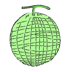 春のフルーツイラスト メロン カラー版 鉛筆風線