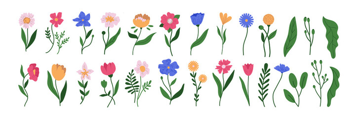 botanical plant simple vector doodle flower illustrations, spring and summer plants and foliage isolated on a white background 
