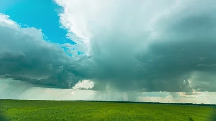 Fotobehang Rain Rainy Clouds Above Countryside Rural Field Landscape With Young Green Wheat Sprouts In Spring Summer Cloudy Day. Heavy Clouds Above Agricultural Field. Young Wheat Shoots 4K time-lapse, timelapse © Grigory Bruev
