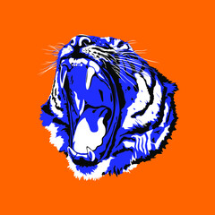 Roaring tiger head isolated on orange background. Blue water tiger symbol or the new year 2022. Asian calendar illustration of mighty jungle animal showing fangs and looking furious. Mascot for print