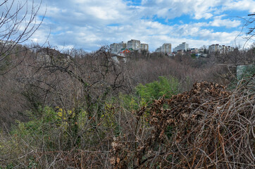 houses on the top of hill in Tuapse (Krasnodar krai, Russia) 