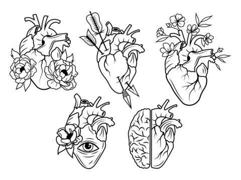 Set of flower human heart. Сollection of human heart with flowers, eye, arrow. Valentine card. Anatomy. Vector illustration on a white background. Tattoo.