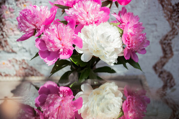 Bouquet of white and pink peony flowers and their reflection in the mirror. Greeting card, bouquet for mom. cut flowers from the garden