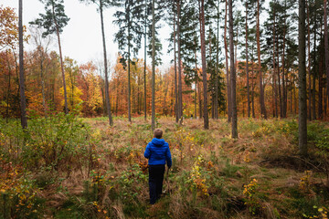 Boy in blue jacket in the forest within autumn landscape