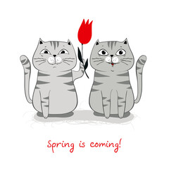 Happy cats character with red tulip. Spring greeting cars, poster, banner and others