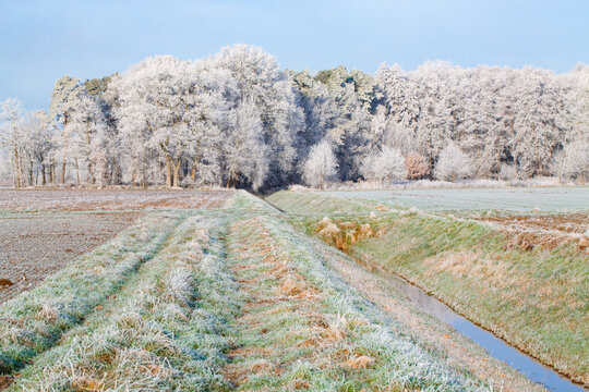 Idyllic winter landscape near Warendorf in Westphalia, Germany