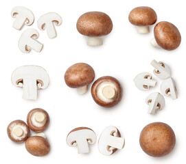 A set of whole and sliced champignons isolated on white background. Top view.