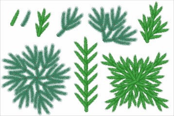 A set of spruce or pine branches. Illustration for decorating Christmas cards. Coniferous tree. Vector.