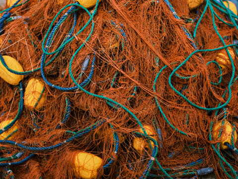 fishing nets standing on the pier in the harbor