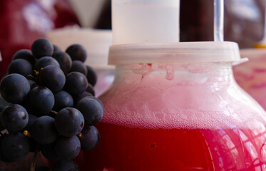 Fermentation of red wine. Glass jar. Plastic lid with air locks for wine fermentation. 