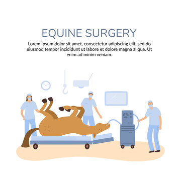 a vector banner of horse colics surgery