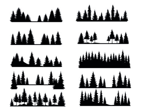 Set of pine forest. Collection of silhouette of tree forest. Logotype. Vector illustration of nature on a white background.