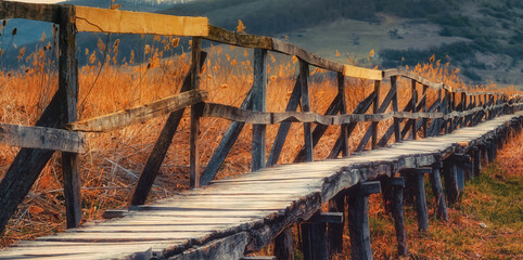 Sunrise wooden walkway dried up swamp
- 480162295