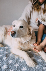 Mom and daughter comfortably cuddle at home with their pet Labrador Retriever